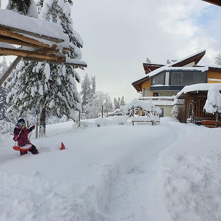 Gaestehaus Falkenblick アルツル・イム・ピッツタール エクステリア 写真